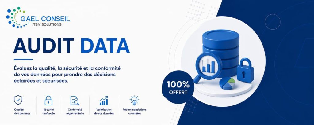 audit data
